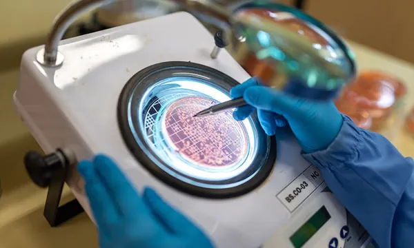 Pesquisa e indústria promovem rodada de negócios sobre bioinsumos em Curitiba
