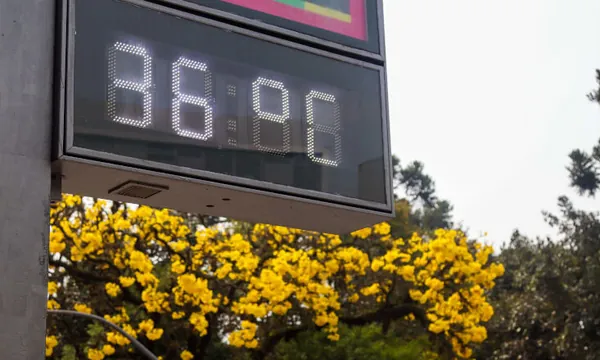 Inscrições para a edição 2026 do Selo Clima Paraná são prorrogadas até 28 de agosto