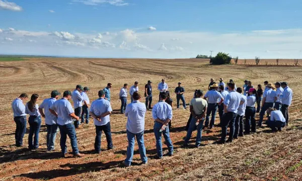 Projeto Legado Cocamar-Timac mostra que produtor pode incrementar a renda na propriedade rural 