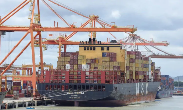 exportacoes 07 08 2026