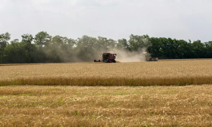Crédito rural para a agricultura empresarial soma R$ 28,2 bilhões no primeiro mês da safra 2026/2027