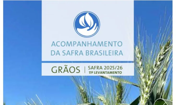 Conab estima produção de 360,8 milhões de toneladas de grãos na safra 2025/26