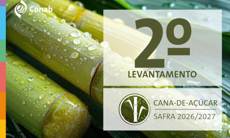 Nova estimativa de cana-de açúcar traz produção de 705,2 milhões de toneladas na safra 2026/27