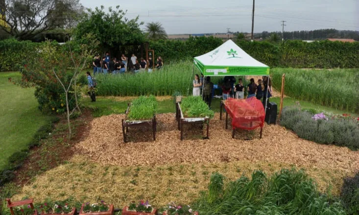 Agroecologia ganha espaço como rota para campo mais resiliente 