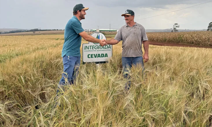 Cevada ganha espaço no norte do estado e amplia alternativas de renda para cooperados da Integrada