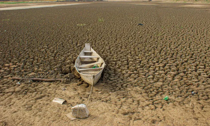Brasil promete restaurar 163 mil km² de terras degradadas até 2030 