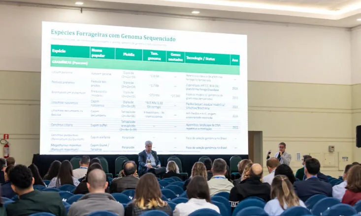 Simpósio debate futuro e inovação no mercado de sementes forrageiras 