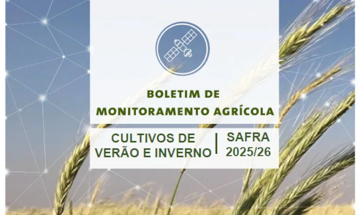 Clima favorece colheita e qualidade na safra 2025/26