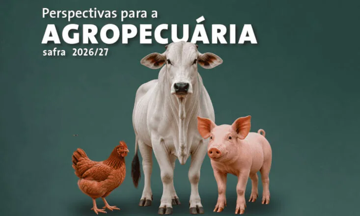 Produção brasileira de carnes deve ultrapassar 34 milhões de toneladas em 2026 e 2027