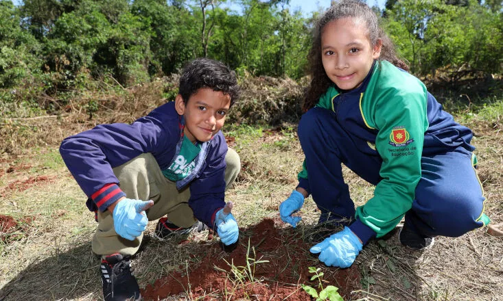 Lar Cooperativa celebra Dia da Árvore com plantio de mudas nativas e ação de conscientização ambiental 