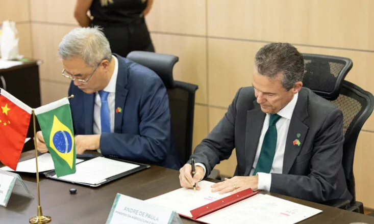 Brasil e China assinam protocolo para exportação de miúdos suínos