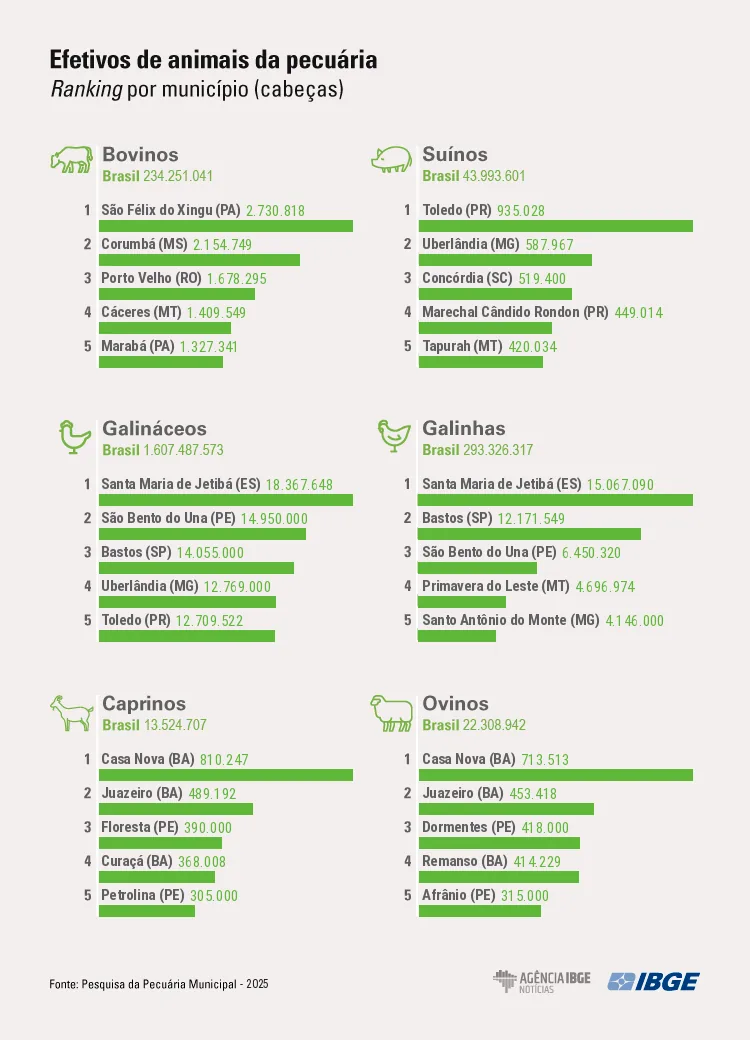 infografico PPM 2025 animais