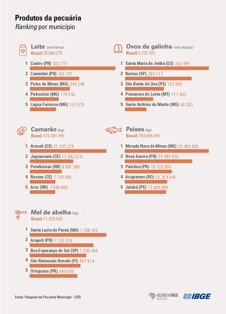 infografico PPM 2025 produtos