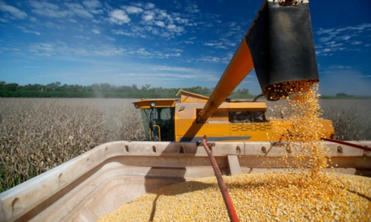 Cr&eacute;dito rural para a agricultura empresarial soma R$ 107,1 bilh&otilde;es nos tr&ecirc;s primeiros meses da safra 2026/2027
