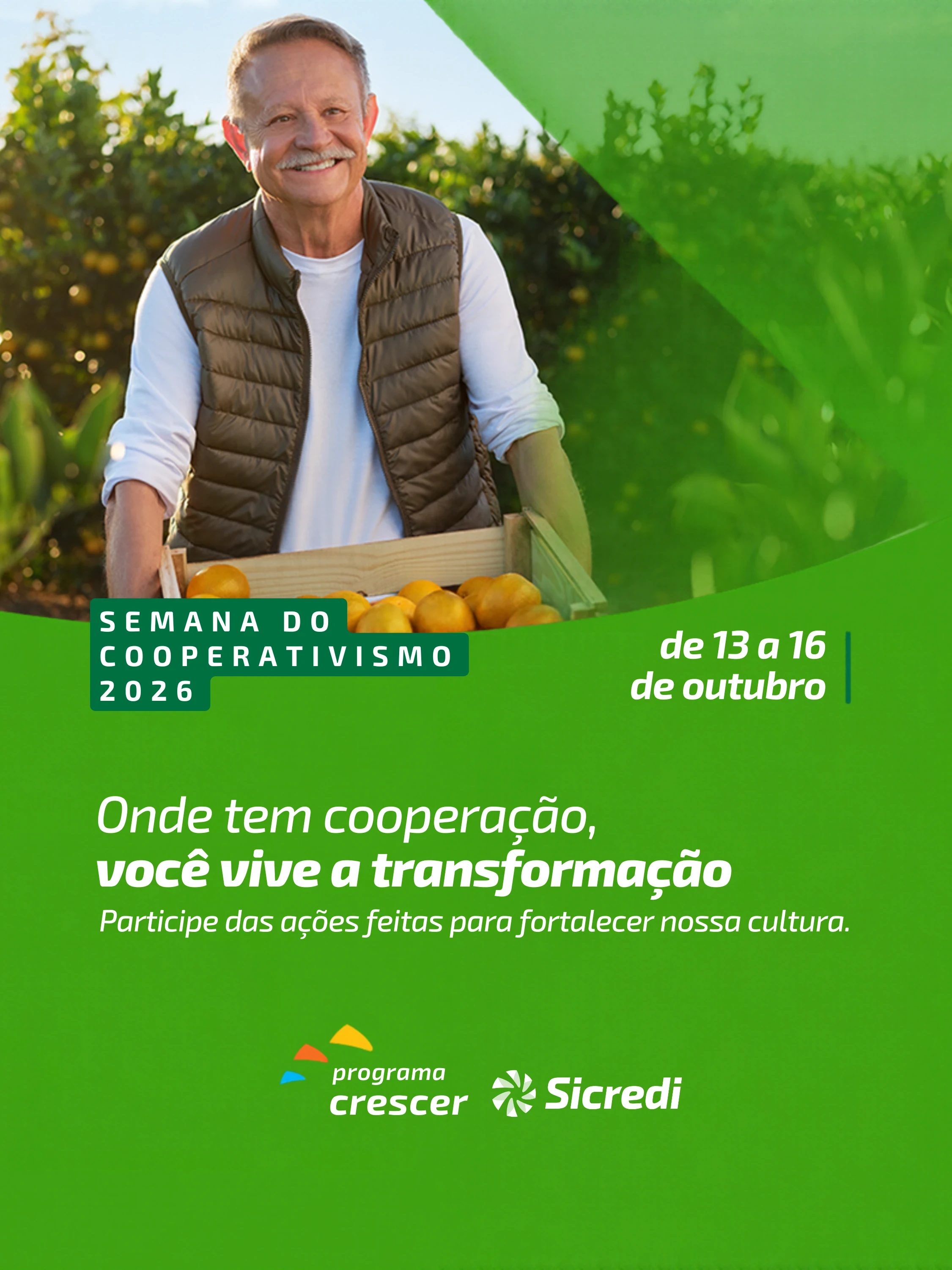 sicredi planalto 14 10 2026