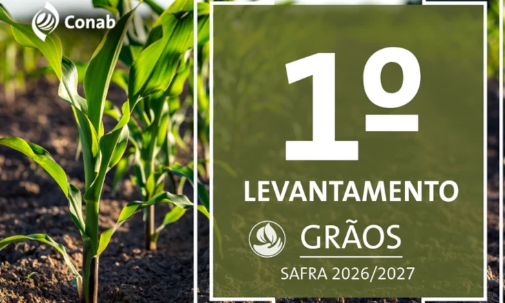 Primeiro levantamento da safra de gr&atilde;os 2026/27 estima produ&ccedil;&atilde;o acima de 367 milh&otilde;es de toneladas