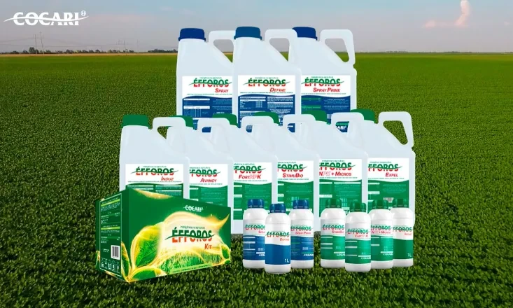 Linha &Eacute;fforos oferece  solu&ccedil;&atilde;o completa de nutri&ccedil;&atilde;o vegetal para todas as fases das culturas