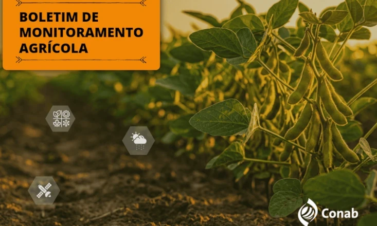 Chuvas favorecem cultivos de ver&atilde;o no Centro-Oeste, mas o excesso de umidade afeta lavouras de inverno no Sul