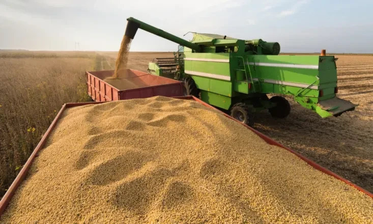 Valor Bruto da Produ&ccedil;&atilde;o Agropecu&aacute;ria &eacute; estimado em R$ 1,44 trilh&atilde;o em setembro