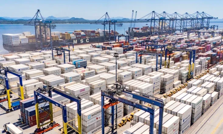 Paranagu&aacute; responde por 65% do crescimento das exporta&ccedil;&otilde;es brasileiras de frango congelado