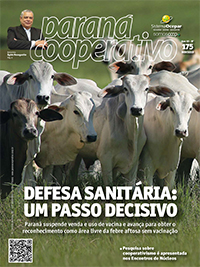 capa N175 nov 2019 large