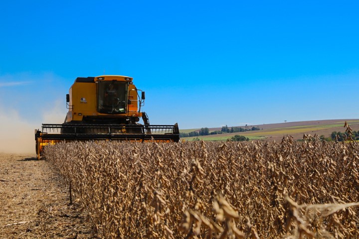 AGROPECUÁRIA: Valor da produção de 2020 é o maior da história