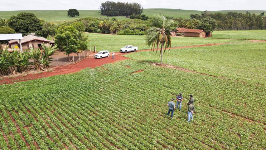 RALLY COCAMAR: Soja: lavouras chegando e outras ainda no começo