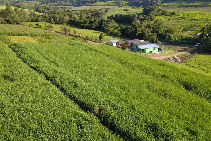 SEAB: Agricultura inicia novos projetos voltados a pequenos produtores