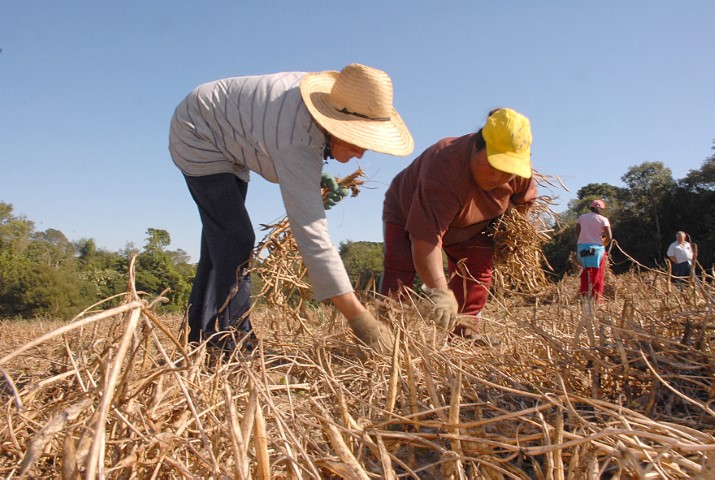 PSR: Mais de 10 mil agricultores familiares participam de projeto-piloto de seguro rural