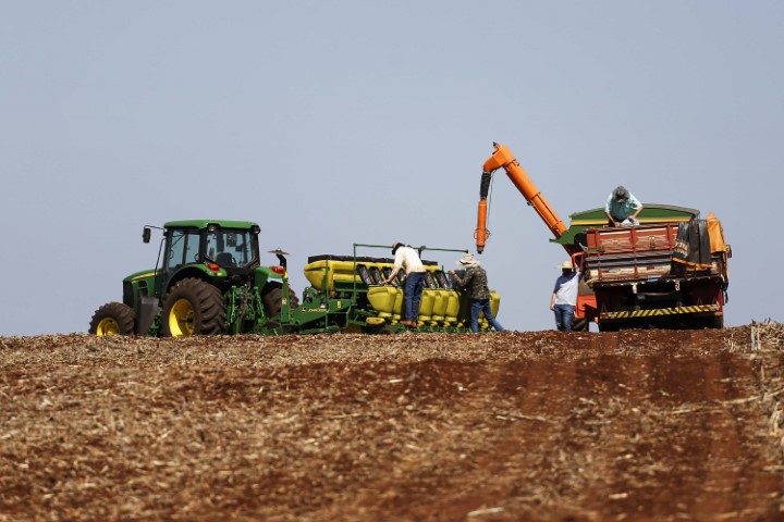 SEAB/DERAL: Boletim agropecuário retrata atraso nas lavouras em razão das chuvas 