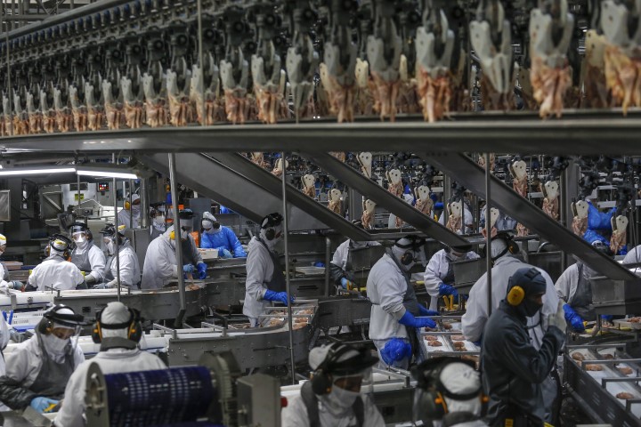 C.VALE: Cooperativa oferta 679 vagas de emprego através das Agências do Trabalhador