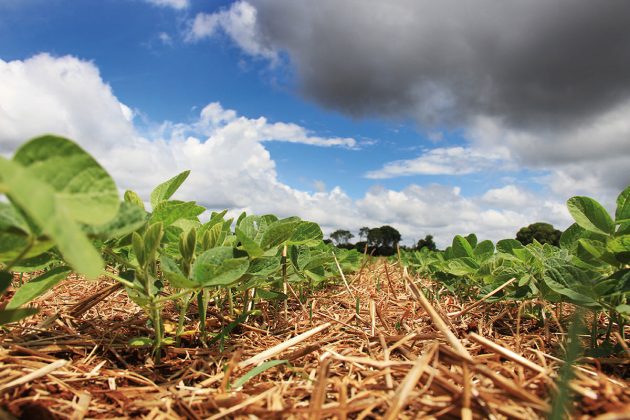 SEGURO RURAL: Produtor pode se candidatar aos programas federal e estadual