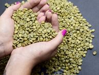 COOXUPÉ: Empresa canadense premia café de cooperadas 