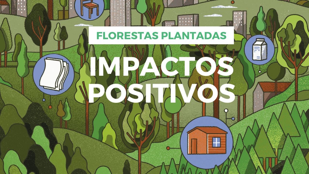 APRE: Associação lança vídeo sobre os impactos positivos das florestas plantadas