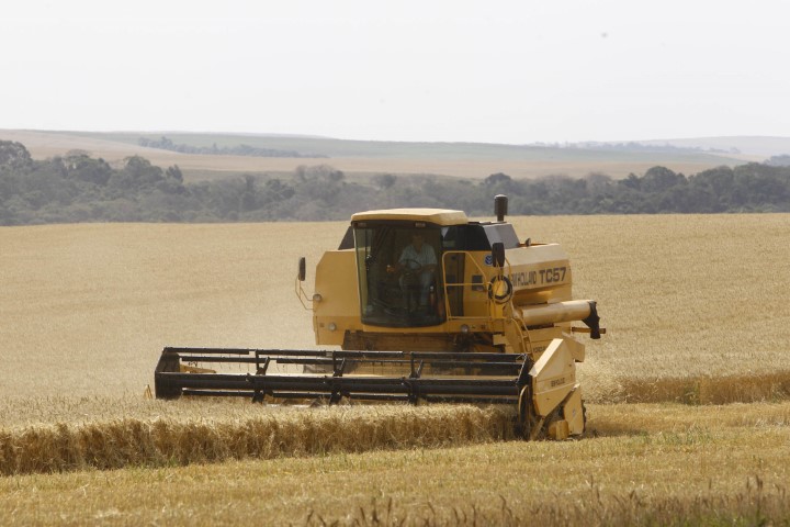 PROJEÇÃO: Ipea revisa de 1,5% para 2,2% o PIB agro para 2021 
