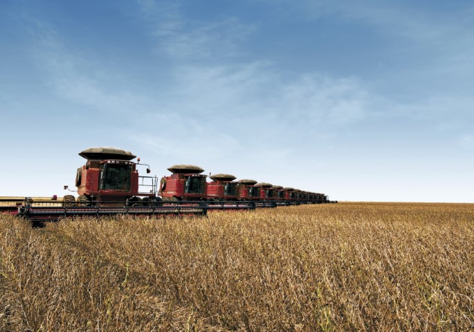 VBP: Valor da Produção Agropecuária de 2021 deve ser 12,4% maior que o do ano passado