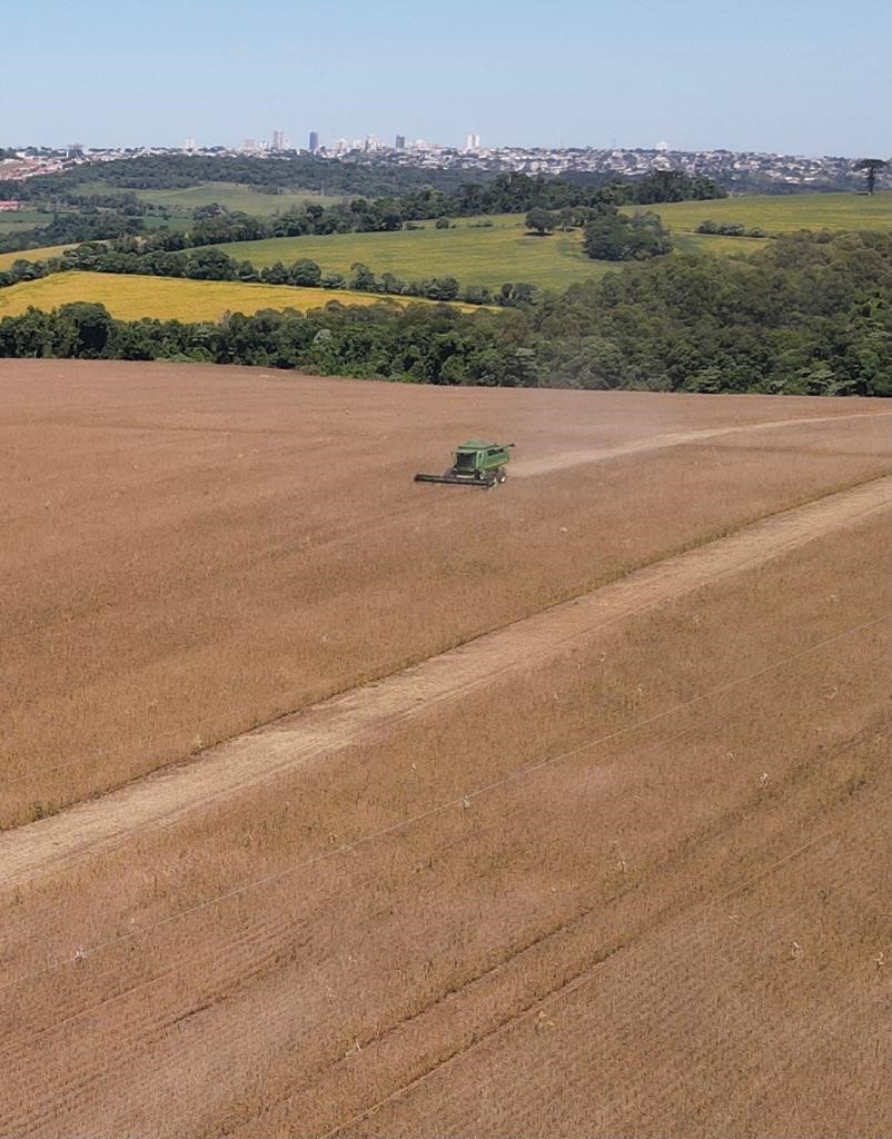 COCAMAR: Cooperativa recebe o maior volume de soja da história