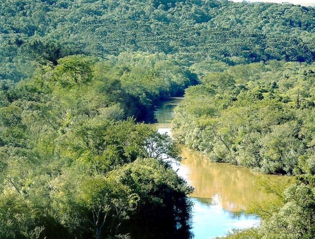 COOPERATIVISMO: Aliado natural da economia verde