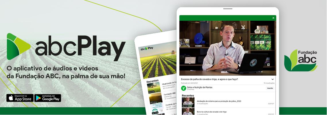 FUNDAÇÃO ABC: Chegou o abcPlay