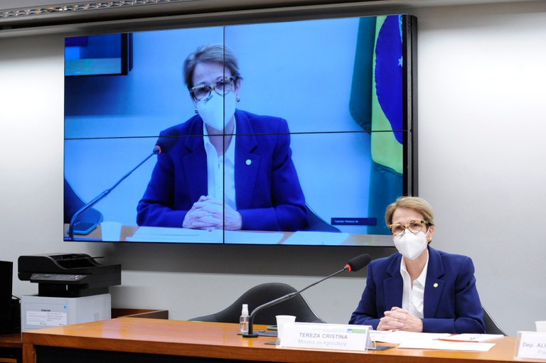 AGRICULTURA: Ministra fala sobre prioridades para o próximo Plano Safra em audiência na Câmara
