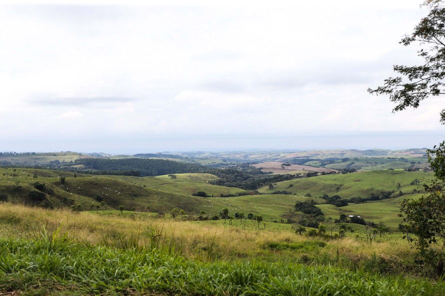 CONJUNTURA AGROPECUÁRIA: Com valorização da produção, preço de terras agrícolas sobe no Paraná