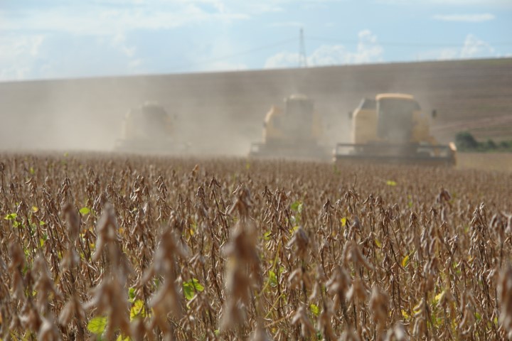 TREINO&amp;VISITA: Safra de soja é debatida por profissionais das cooperativas, pesquisa e extensão rural