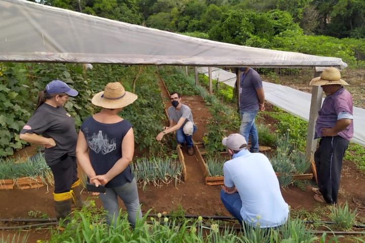 IDR-PARANÁ: Trabalho dos extensionistas rurais completa 65 anos no Paraná
