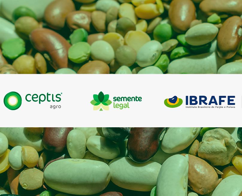 IBRAFE: Programa vai garantir a origem e verificar a qualidade das sementes de feijão no Brasil 