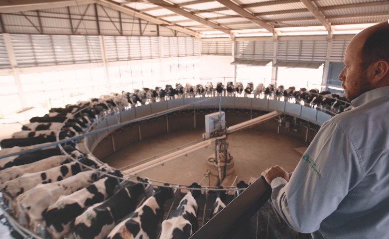 CASTROLANDA: Dia Mundial do Leite; cooperativa destaca benefícios para a cadeia leiteira
