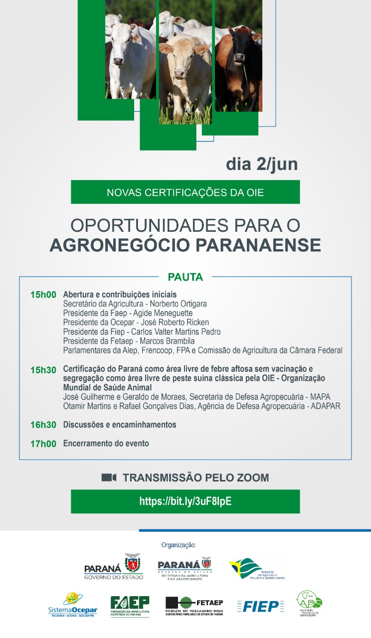 sanidade folder 01 06 2021