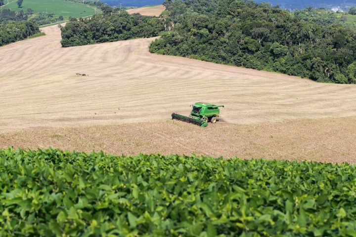 CONJUNTURA AGROPECUÁRIA: Colheita do feijão chega a 82% e produtividade da soja tem alta em 2021, aponta boletim