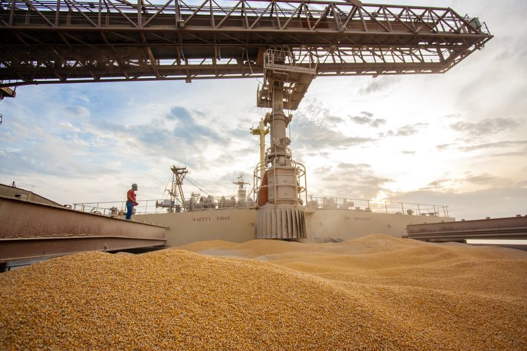 AUDIÊNCIA PÚBLICA: Produtores cobram medidas do governo para reverter escassez de milho no mercado interno