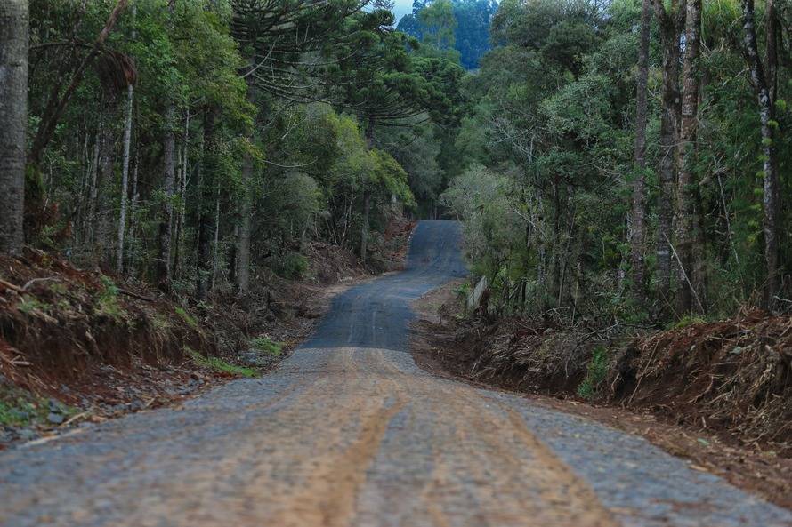 INFRAESTRUTURA: Governo autoriza aplicação de R$ 11,1 milhões para pavimentação de estradas rurais