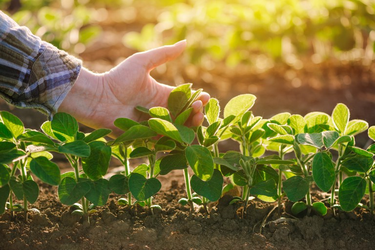 PRIMEIRO SEMESTRE: Indenizações pagas pelas seguradoras aos produtores que contrataram seguro rural chegam a R$ 1,7 bilhão 